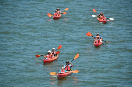 Canoé dans le Lot